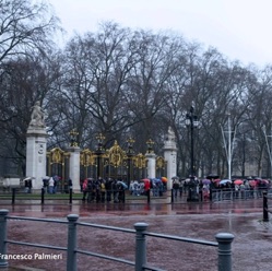 buckingham palace